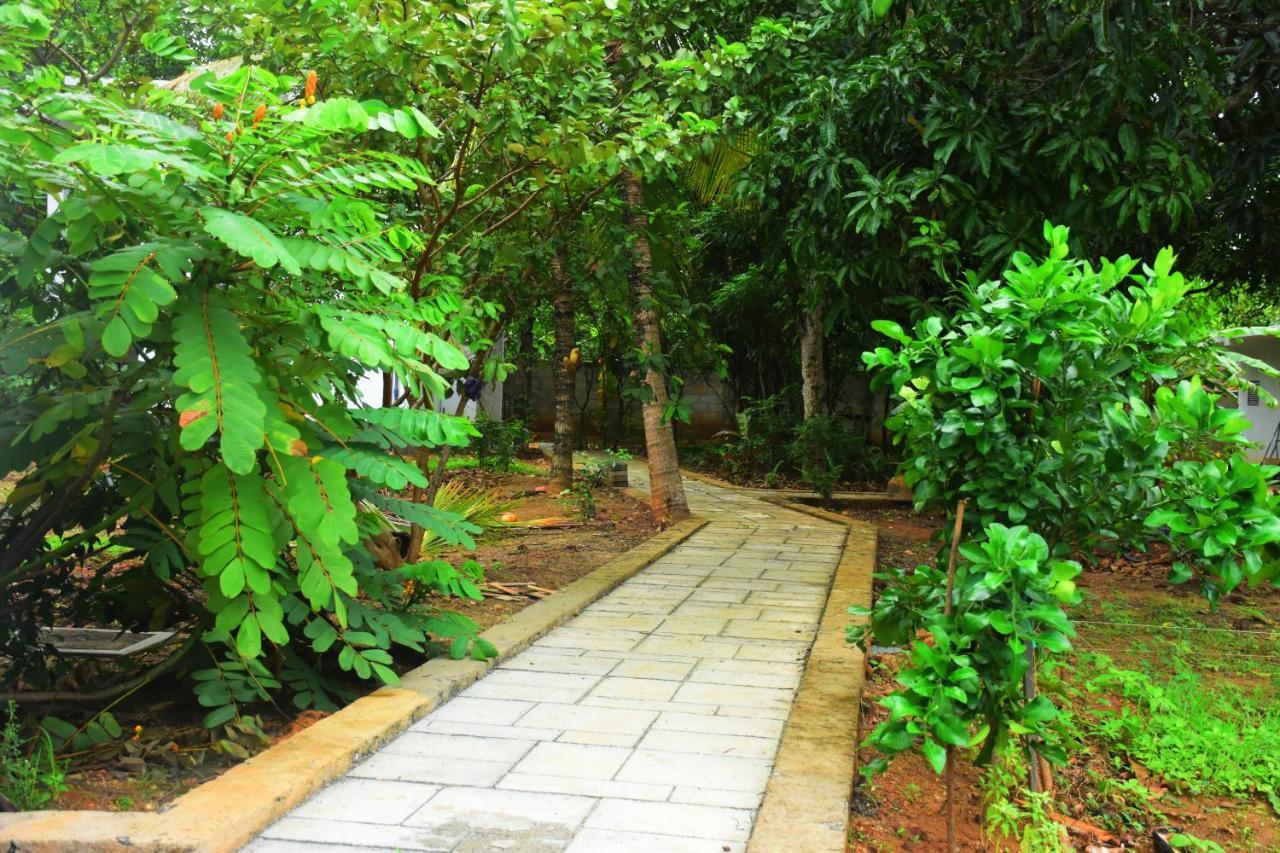 Forest Dew Udawalawa Udawalawe Ngoại thất bức ảnh