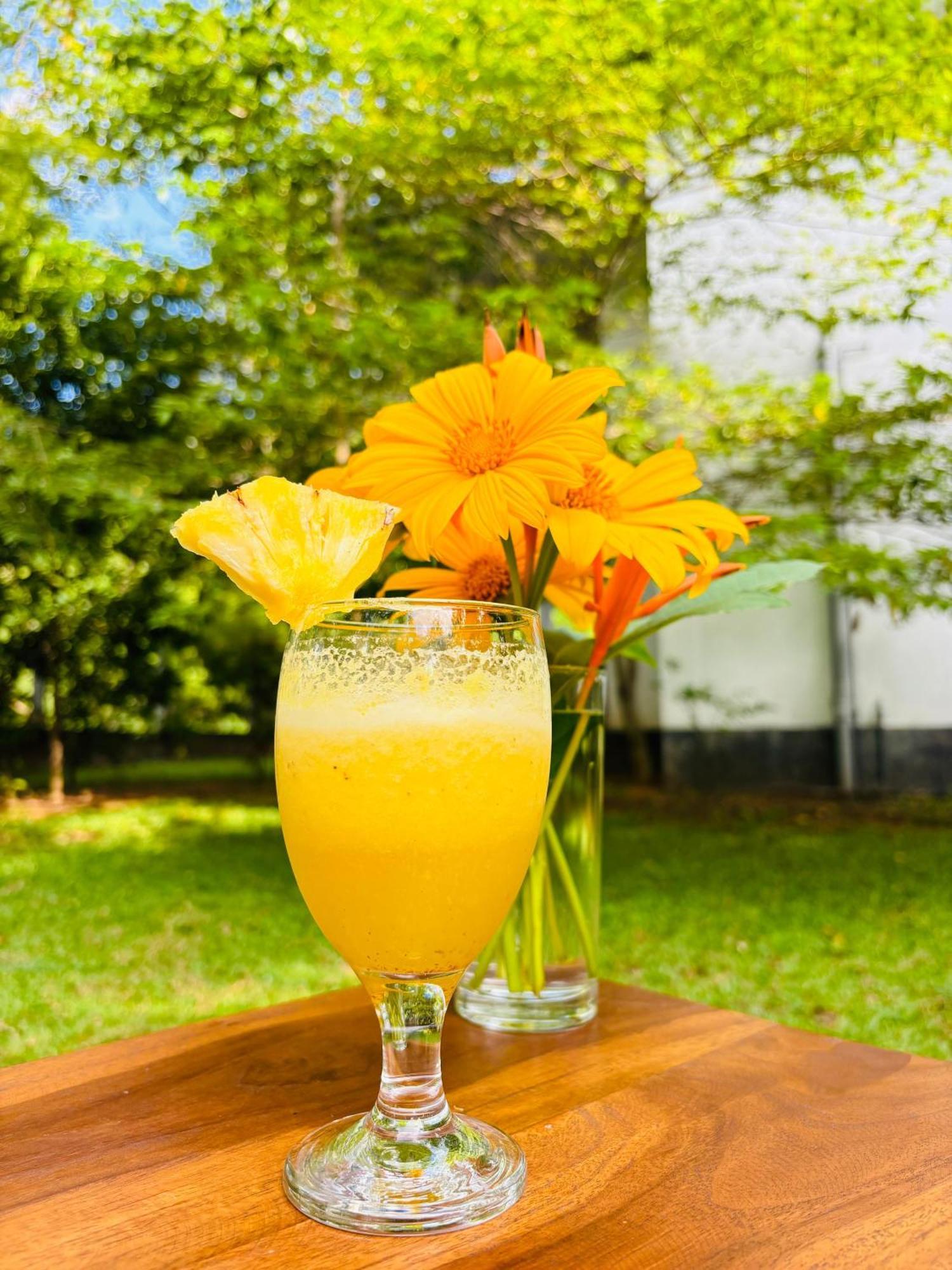 Forest Dew Udawalawa Udawalawe Ngoại thất bức ảnh